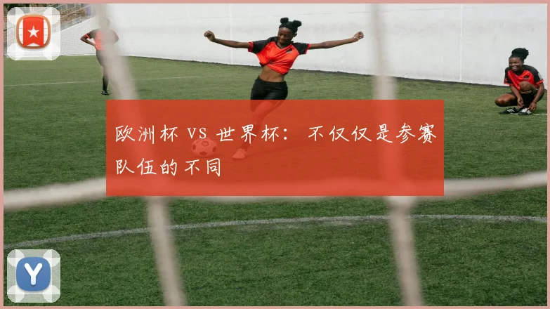 欧洲杯 vs 世界杯：不仅仅是参赛队伍的不同