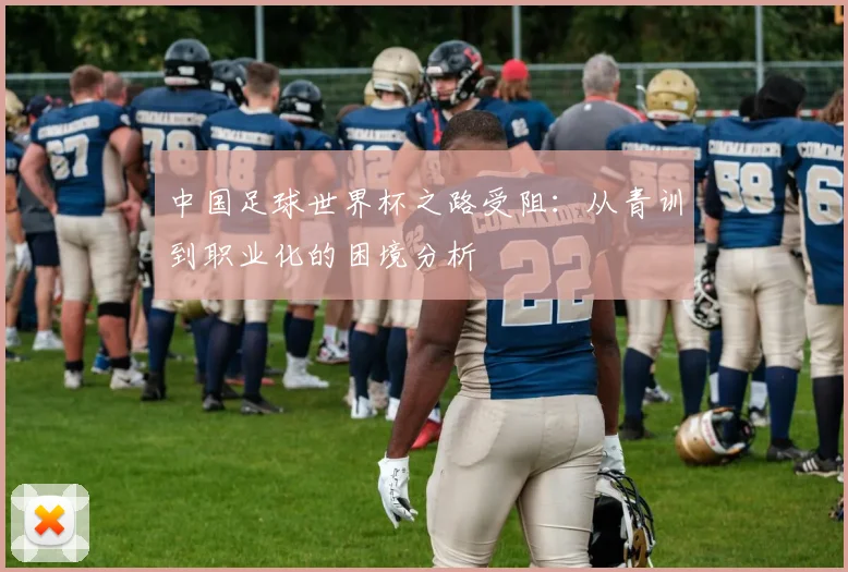中国足球世界杯之路受阻：从青训到职业化的困境分析