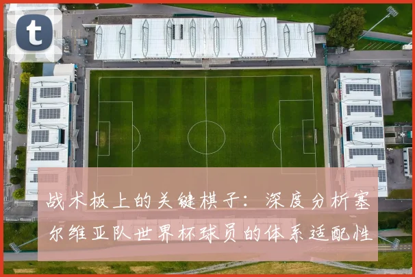 战术板上的关键棋子:深度分析塞尔维亚队世界杯球员的体系适配性