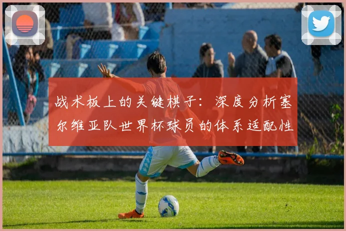 战术板上的关键棋子:深度分析塞尔维亚队世界杯球员的体系适配性